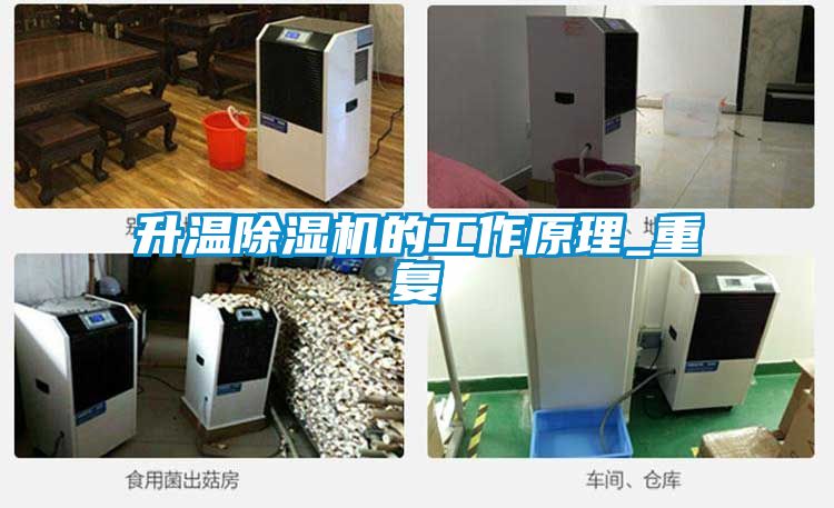 欧美黄色性爱视频网站 升温除湿机的工作原理_重复