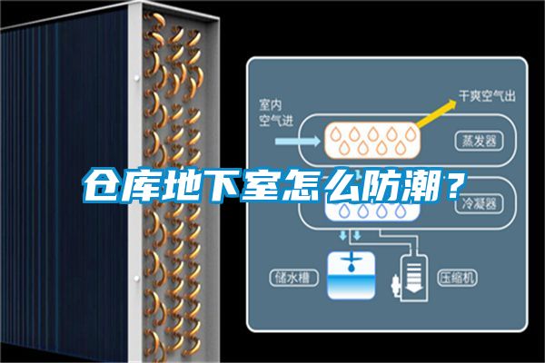 欧美成色手机在线观看 仓库地下室怎么防潮？