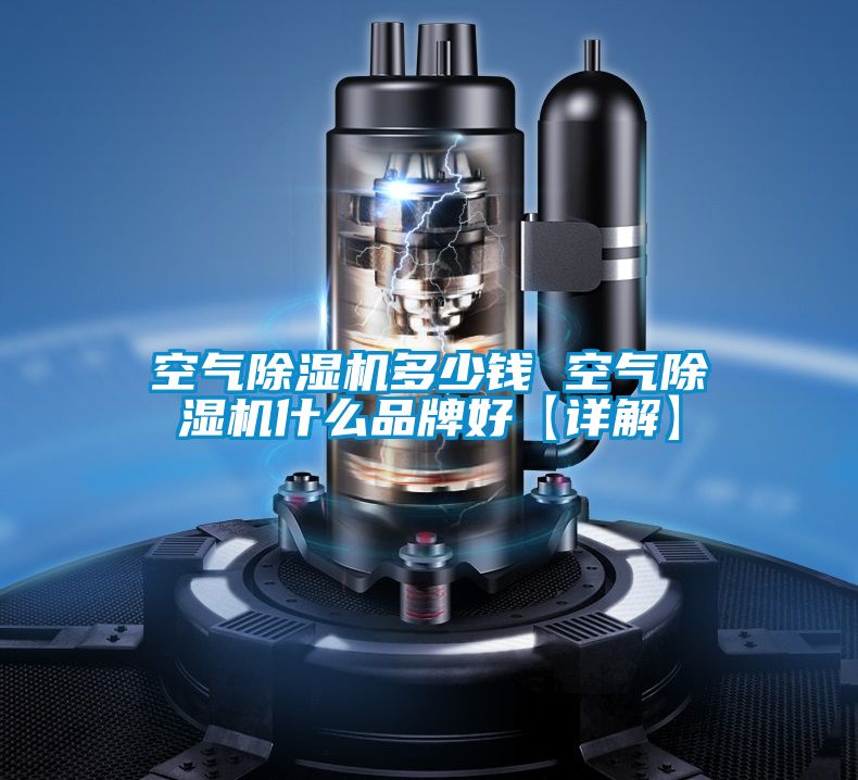 欧美黄色电影在线播放 空气除湿机多少钱 空气除湿机什么品牌好【详解】