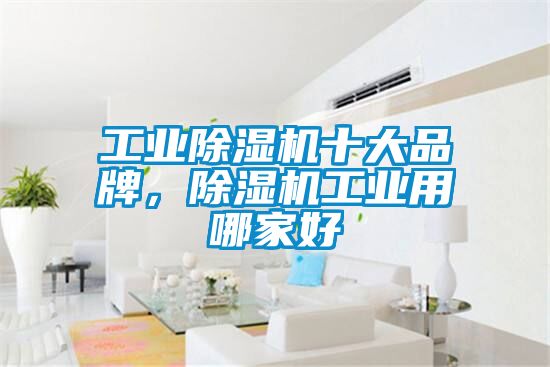欧美黄色性爱视频网站 工业除湿机十大品牌，除湿机工业用哪家好