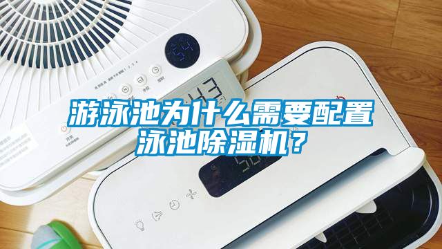 欧美黄色电影在线播放 游泳池为什么需要配置泳池除湿机？