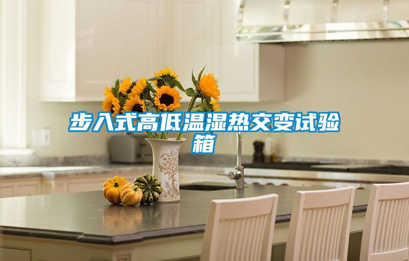 欧美成色手机在线观看 步入式高低温湿热交变试验箱