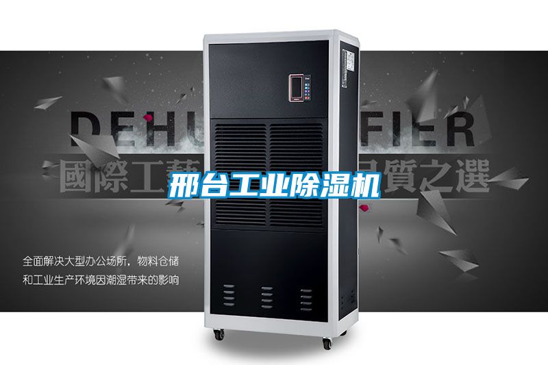 欧美黄色性爱视频网站 邢台工业除湿机