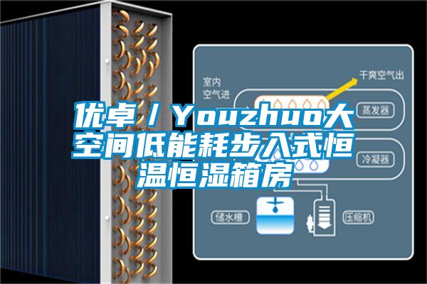 欧美黄色性爱视频网站 优卓／Youzhuo大空间低能耗步入式恒温恒湿箱房