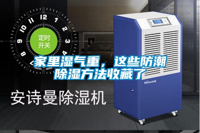 欧美黄色性爱视频网站 家里湿气重，这些防潮除湿方法收藏了