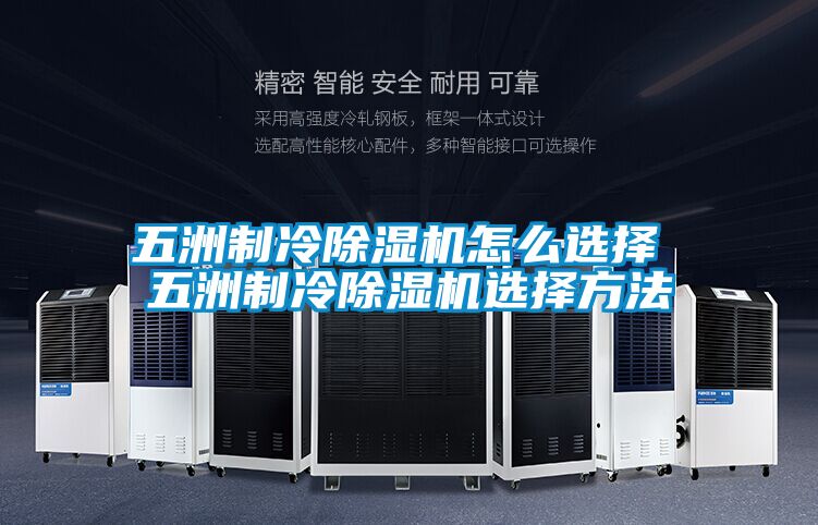 欧美黄色性爱视频网站 五洲制冷除湿机怎么选择 五洲制冷除湿机选择方法