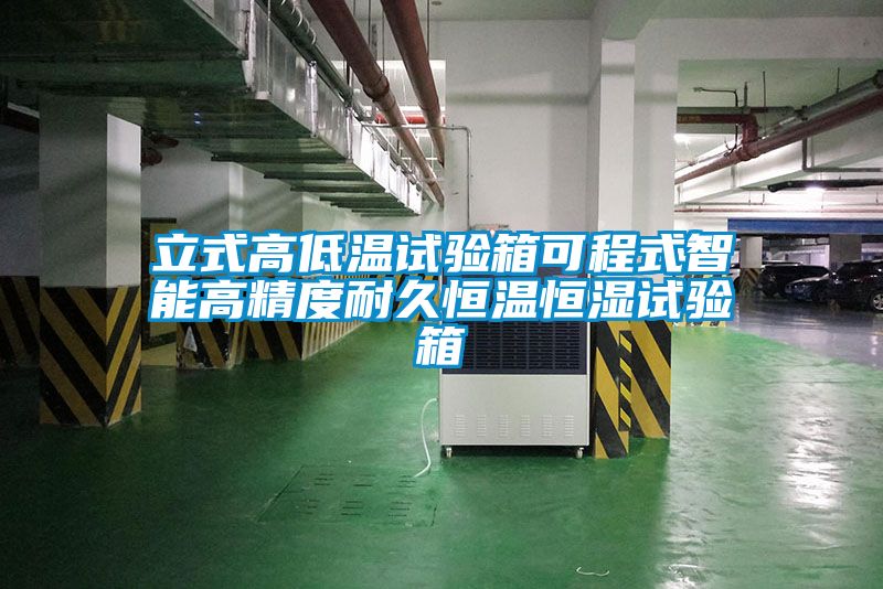 欧美成色手机在线观看 立式高低温试验箱可程式智能高精度耐久恒温恒湿试验箱