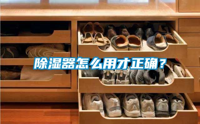 欧美成色手机在线观看 除湿器怎么用才正确？