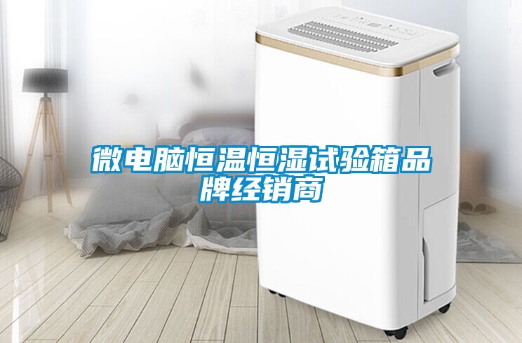 欧美成色手机在线观看 微电脑恒温恒湿试验箱品牌经销商