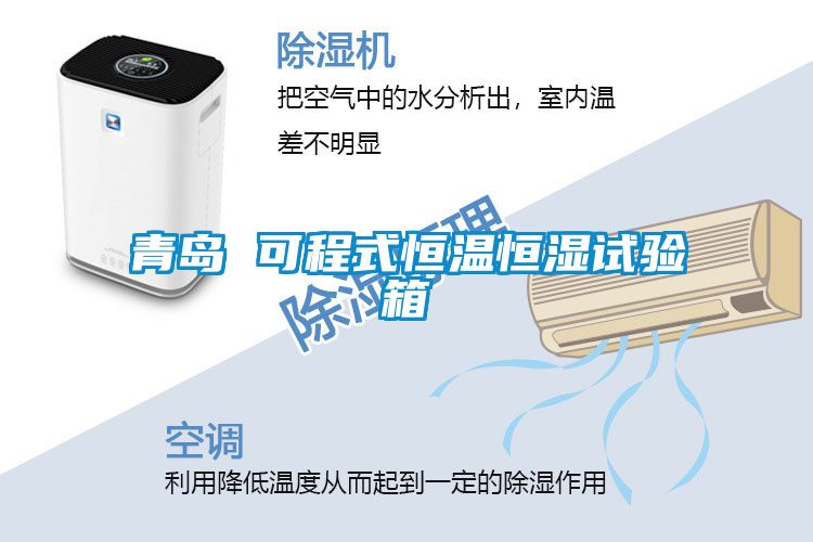 欧美黄色性爱视频网站 青岛 可程式恒温恒湿试验箱