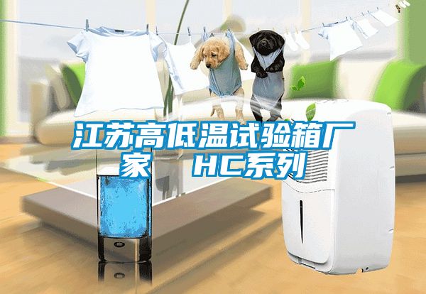 欧美黄色性爱视频网站 江苏高低温试验箱厂家  HC系列