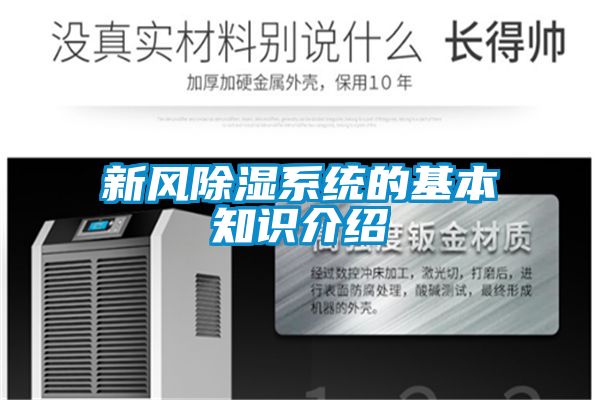 欧美黄色电影在线播放 新风除湿系统的基本知识介绍