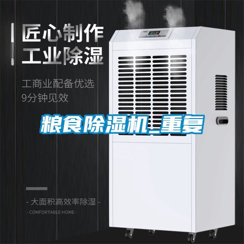 欧美黄色电影在线播放 粮食除湿机_重复