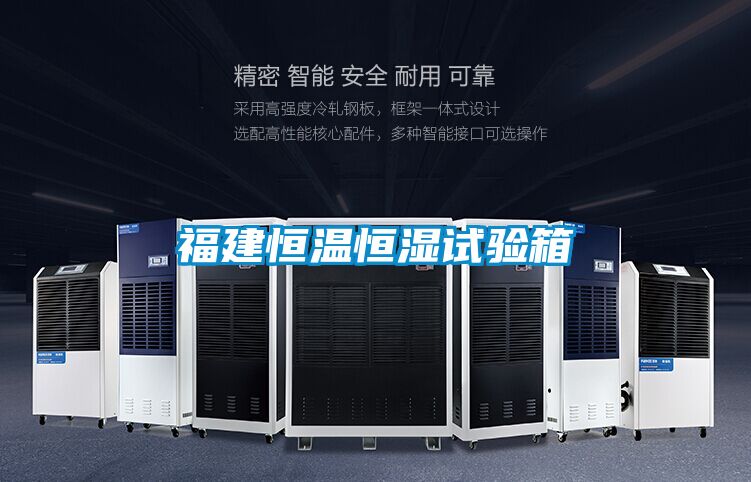 欧美黄色电影在线播放 福建恒温恒湿试验箱
