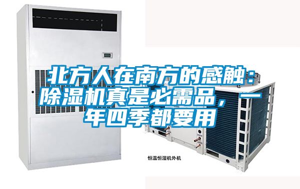 欧美黄色电影在线播放 北方人在南方的感触：除湿机真是必需品，一年四季都要用