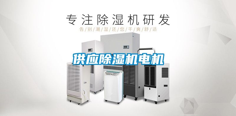 欧美黄色性爱视频网站 供应除湿机电机