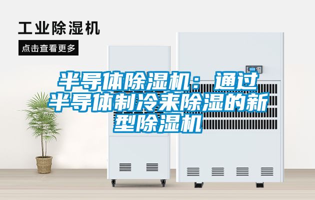 欧美黄色电影在线播放 半导体除湿机：通过半导体制冷来除湿的新型除湿机