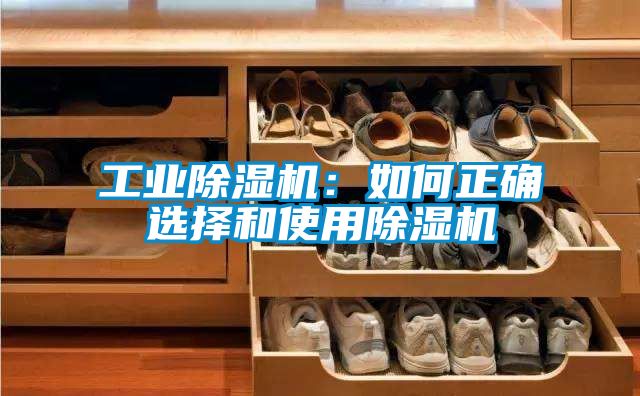欧美黄色性爱视频网站 工业除湿机：如何正确选择和使用除湿机
