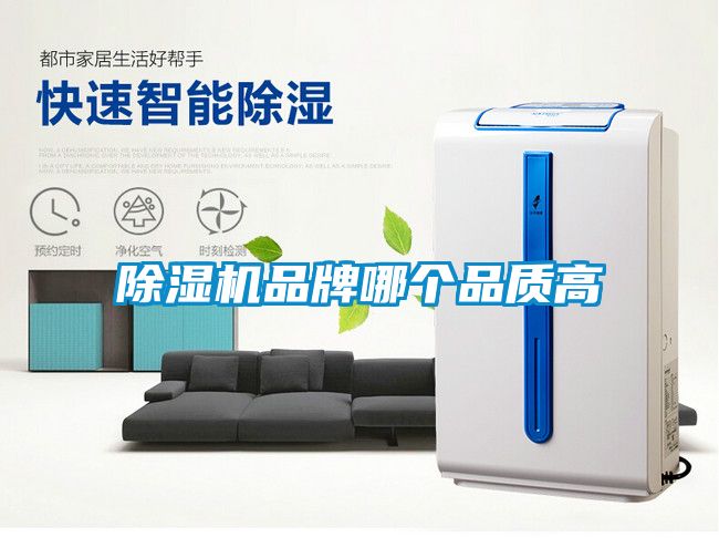欧美黄色性爱视频网站 除湿机品牌哪个品质高