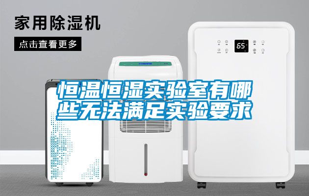 欧美黄色性爱视频网站 恒温恒湿实验室有哪些无法满足实验要求