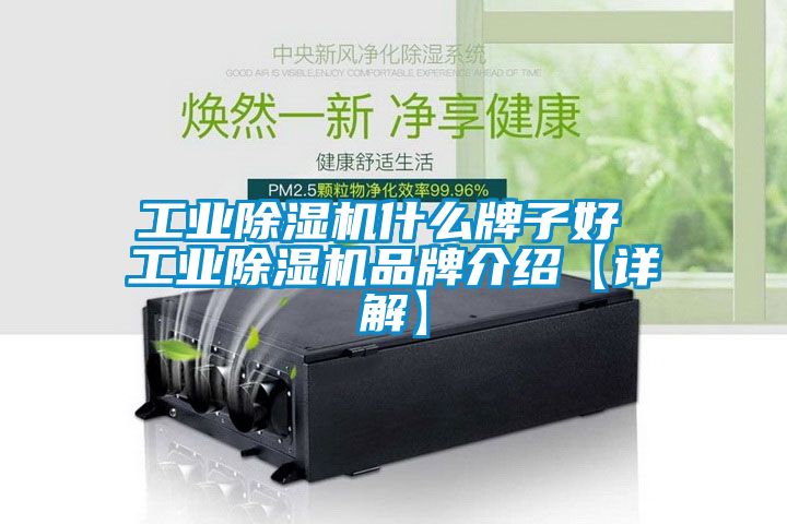欧美黄色性爱视频网站 工业除湿机什么牌子好 工业除湿机品牌介绍【详解】