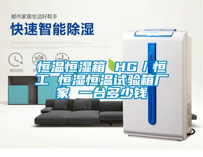 欧美黄色性爱视频网站 恒温恒湿箱 HG／恒工 恒湿恒温试验箱厂家 一台多少钱