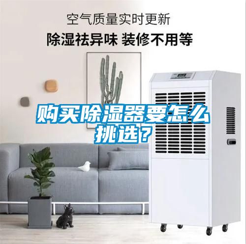 欧美成色手机在线观看 购买除湿器要怎么挑选？