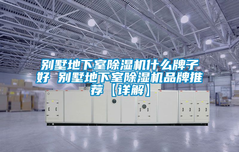 欧美黄色性爱视频网站 别墅地下室除湿机什么牌子好 别墅地下室除湿机品牌推荐【详解】