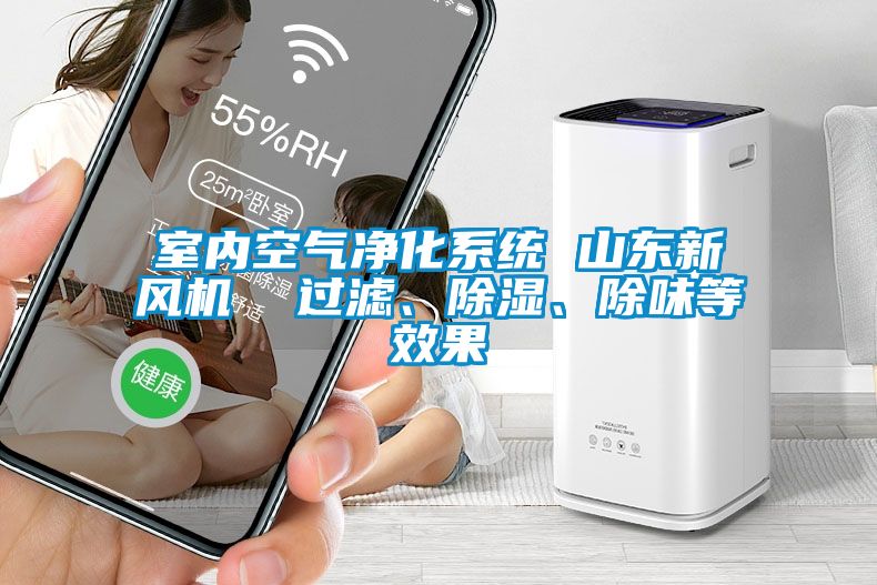 欧美黄色性爱视频网站 室内空气净化系统 山东新风机  过滤、除湿、除味等效果