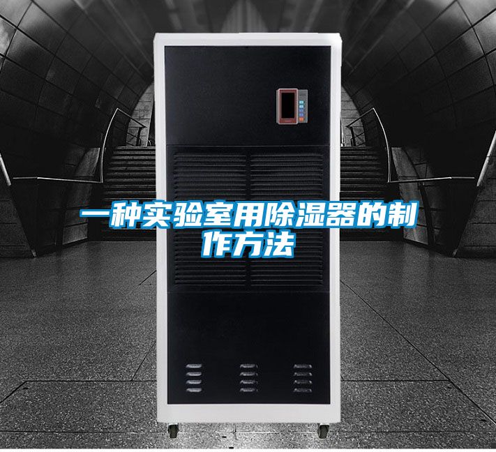欧美黄色性爱视频网站 一种实验室用除湿器的制作方法