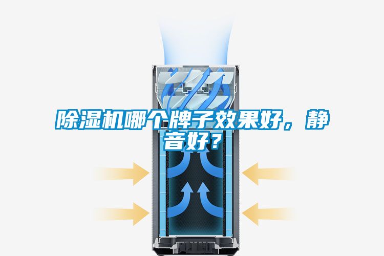 欧美黄色性爱视频网站 除湿机哪个牌子效果好，静音好？