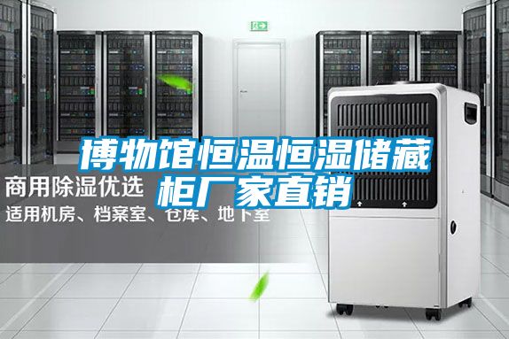 欧美黄色电影在线播放 博物馆恒温恒湿储藏柜厂家直销