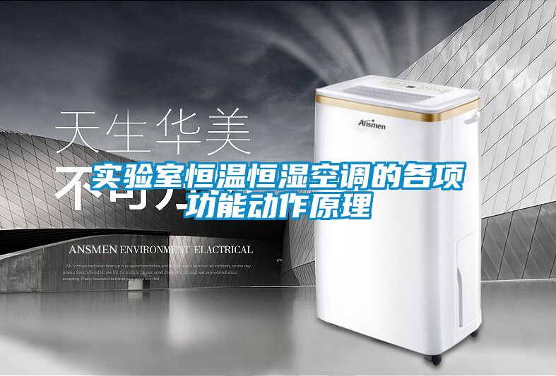 欧美黄色电影在线播放 实验室恒温恒湿空调的各项功能动作原理
