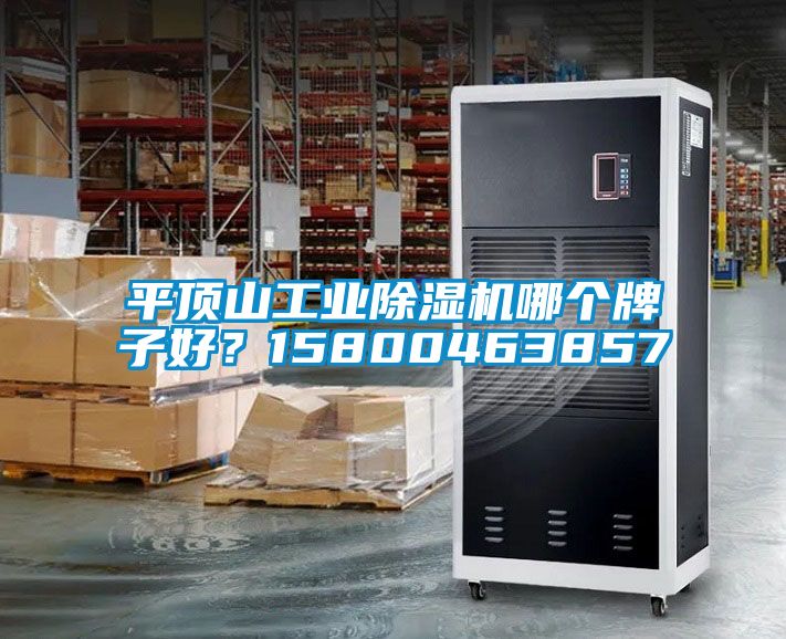 欧美成色手机在线观看 平顶山工业除湿机哪个牌子好？15800463857
