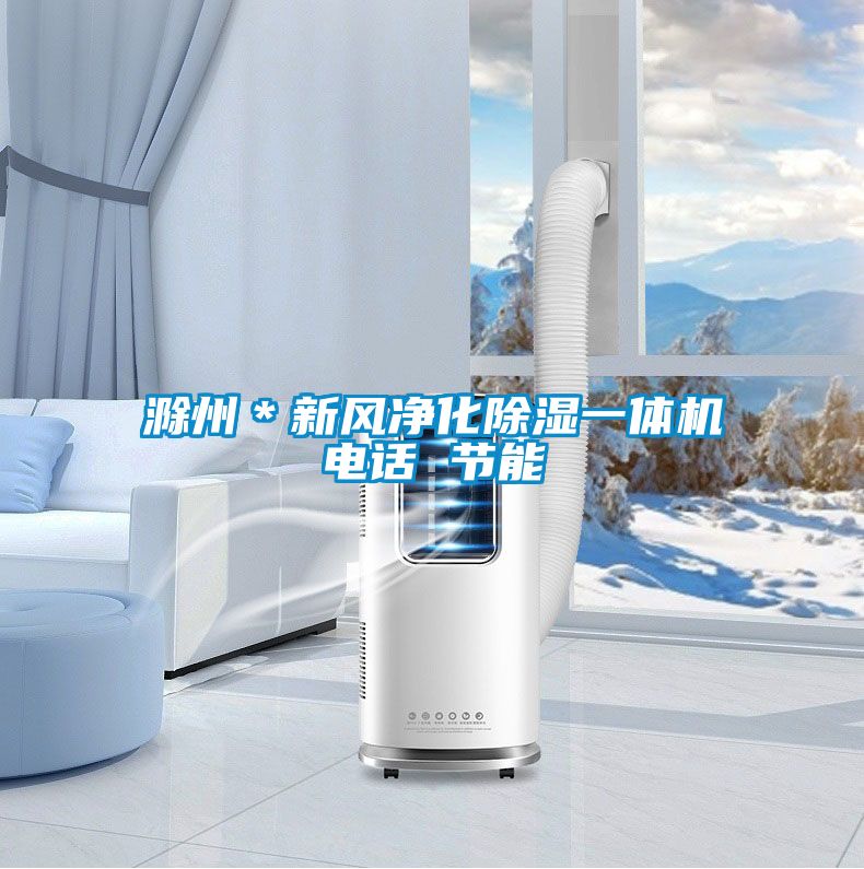 欧美成色手机在线观看 滁州＊新风净化除湿一体机电话 节能