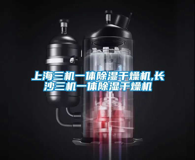 欧美黄色电影在线播放 上海三机一体除湿干燥机,长沙三机一体除湿干燥机