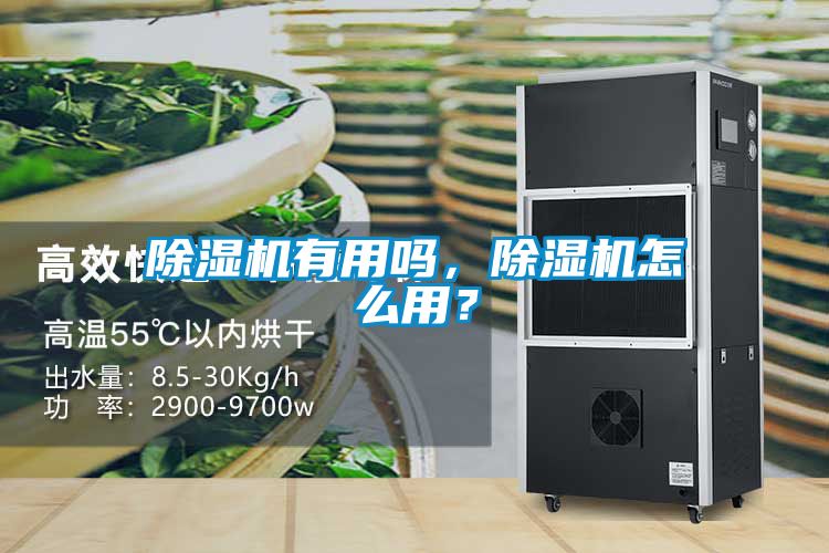 欧美黄色性爱视频网站 除湿机有用吗，除湿机怎么用？
