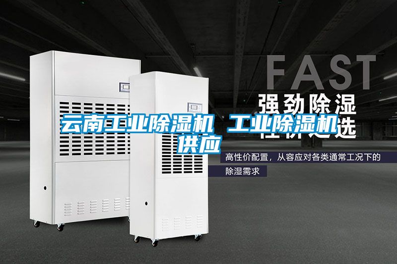 欧美黄色电影在线播放 云南工业除湿机 工业除湿机供应