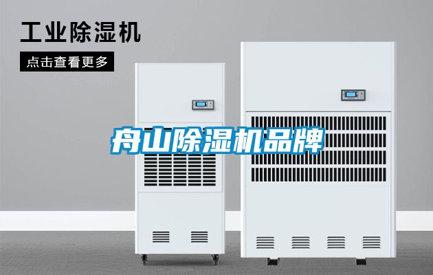 欧美黄色性爱视频网站 舟山除湿机品牌