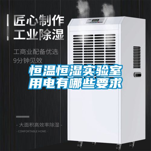 欧美黄色性爱视频网站 恒温恒湿实验室用电有哪些要求