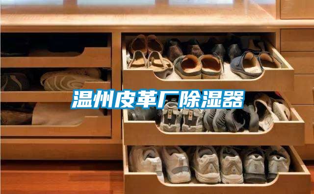欧美黄色性爱视频网站 温州皮革厂除湿器