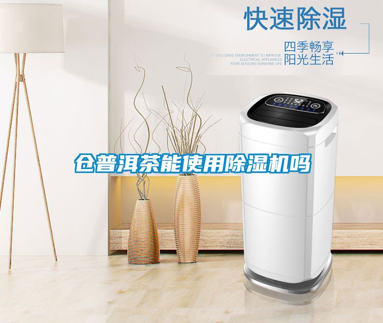 欧美黄色性爱视频网站 仓普洱茶能使用除湿机吗
