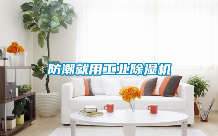 欧美黄色电影在线播放 防潮就用工业除湿机