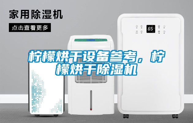 欧美成色手机在线观看 柠檬烘干设备参考，柠檬烘干除湿机