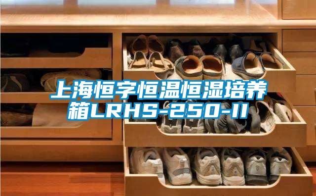 欧美黄色性爱视频网站 上海恒字恒温恒湿培养箱LRHS-250-II