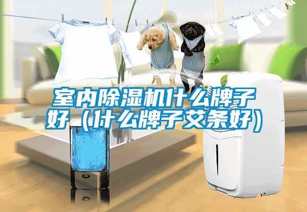 欧美黄色性爱视频网站 室内除湿机什么牌子好（什么牌子艾条好）
