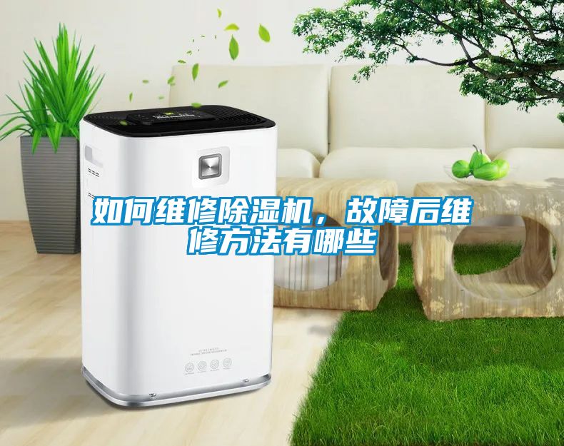 欧美黄色性爱视频网站 如何维修除湿机，故障后维修方法有哪些