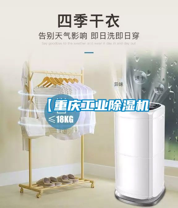 欧美黄色性爱视频网站 【重庆工业除湿机