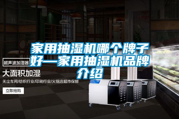 欧美黄色性爱视频网站 家用抽湿机哪个牌子好—家用抽湿机品牌介绍