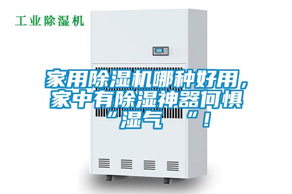 欧美黄色电影在线播放 家用除湿机哪种好用，家中有除湿神器何惧 “湿气 “！